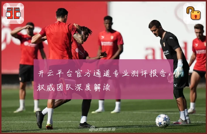 开云平台官方通道专业测评报告，权威团队深度解读