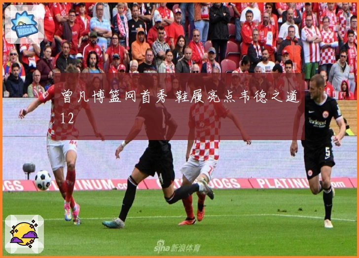 曾凡博篮网首秀 鞋履亮点韦德之道12