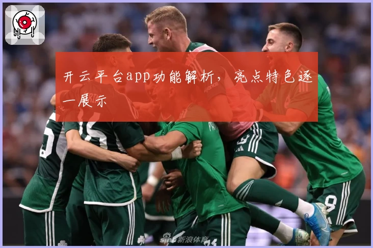 开云平台app功能解析，亮点特色逐一展示