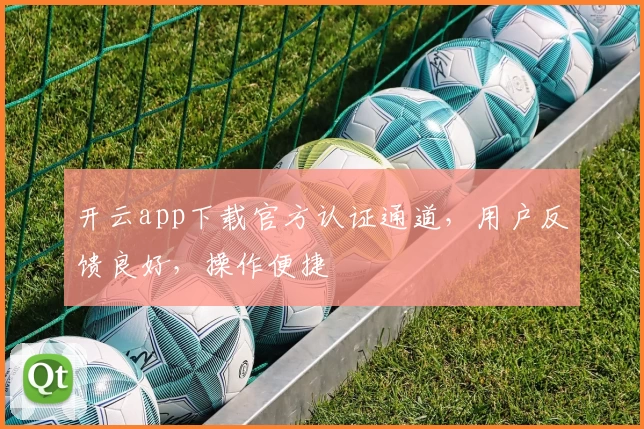 开云app下载官方认证通道，用户反馈良好，操作便捷